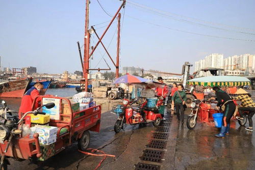 扬帆起航正当时 渔民满载而归，海鲜盛宴与生活百货齐迎佳节